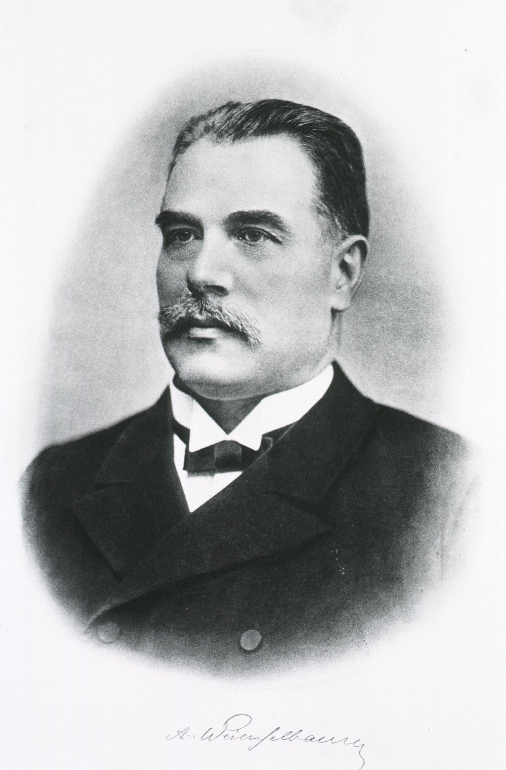 Anton Weichselbaum (1845–1920)