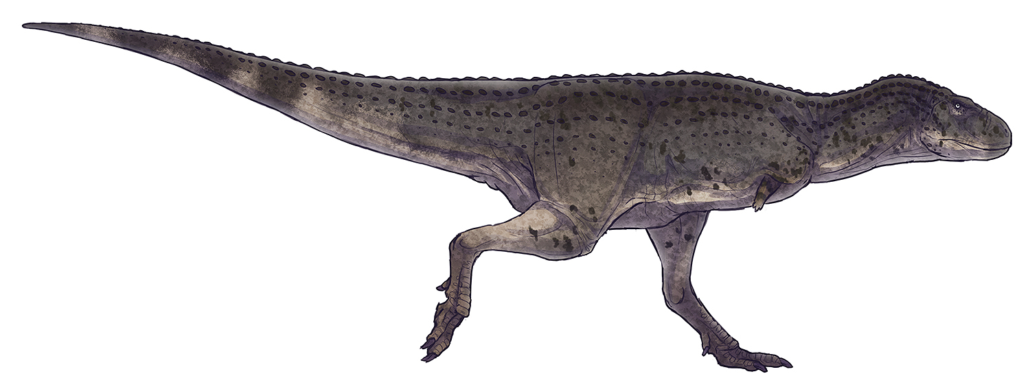 Aucasaurus garridoi by Paleocolour.jpg