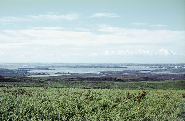 File:Brownsea Island and Poole Harbour - geograph.org.uk - 1590912.jpg