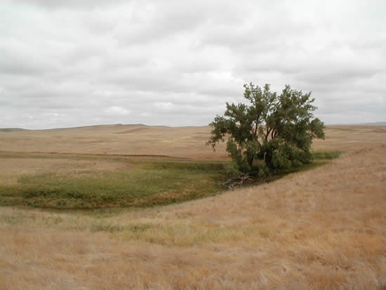 File:Cedar River National Grassland.jpg