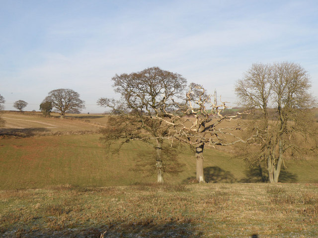 File:Farmland in Herefordshire - geograph.org.uk - 1110960.jpg