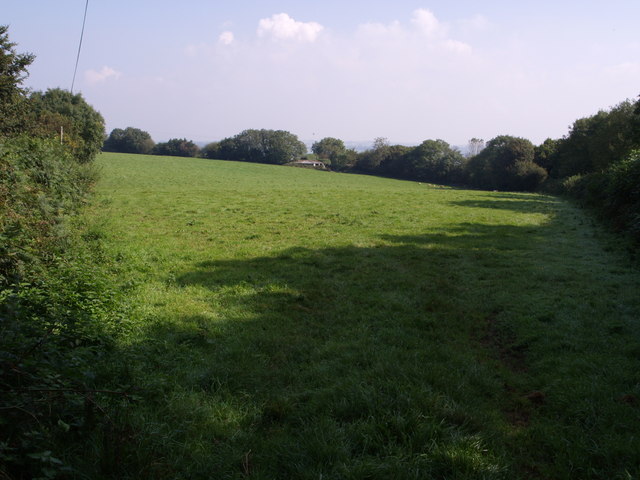 File:Field near Hill Farm - geograph.org.uk - 554909.jpg