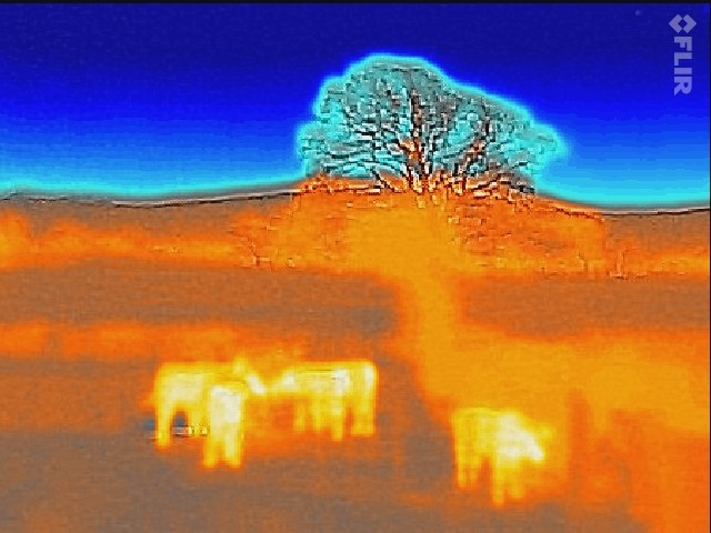 File:Flir 20161229T164105.jpg