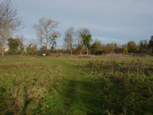 File:Fulbourn Fen Nature Reserve - geograph.org.uk - 1046544.jpg