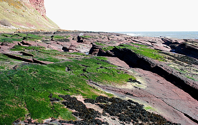 File:Green for Danger^ - geograph.org.uk - 395325.jpg