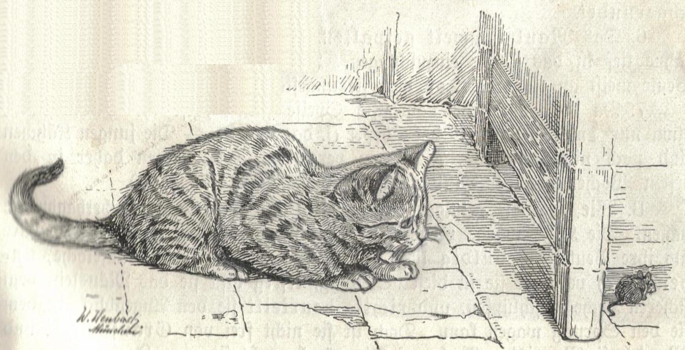 Heubach cat.jpg