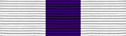 File:Honor Guard Ribbon.png