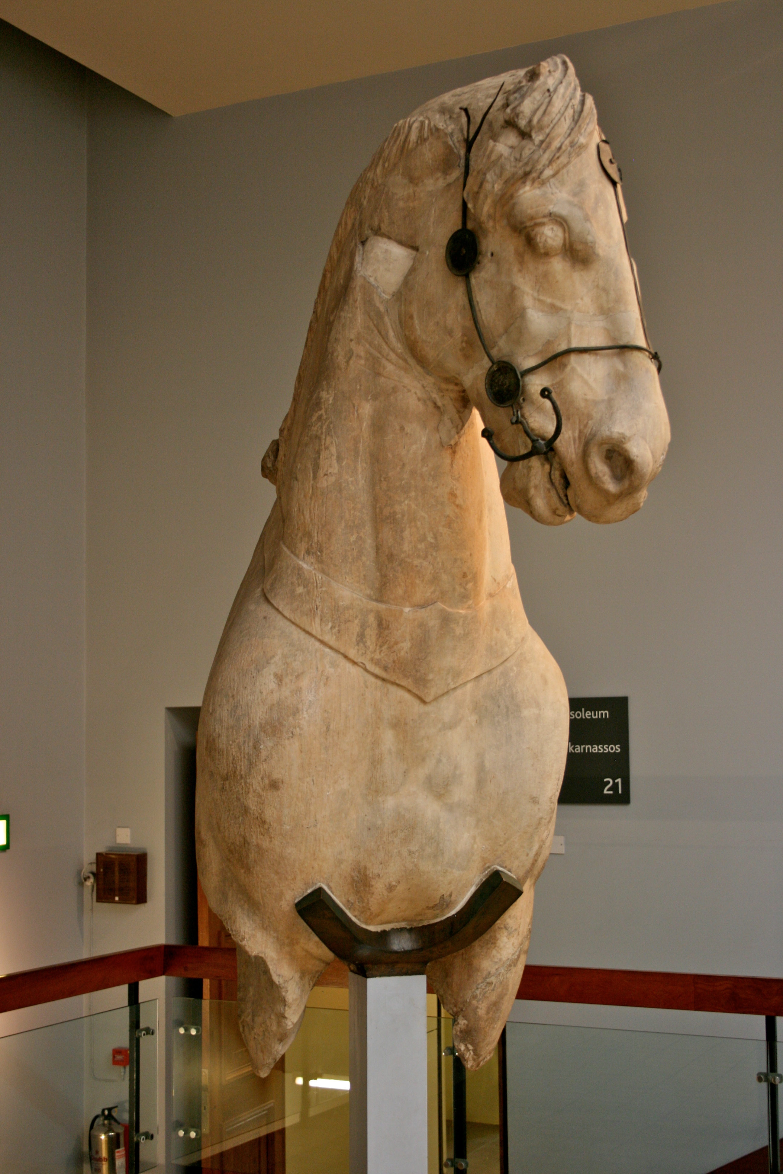 Living Museum of the Horse - Wikipedia