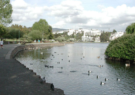 File:Lake Merritt Bird Sanctuary.jpg