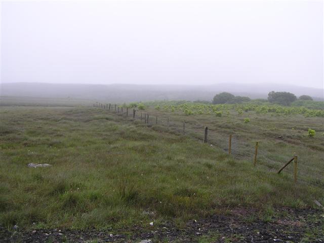 File:Loughultan Townland - geograph.org.uk - 883884.jpg