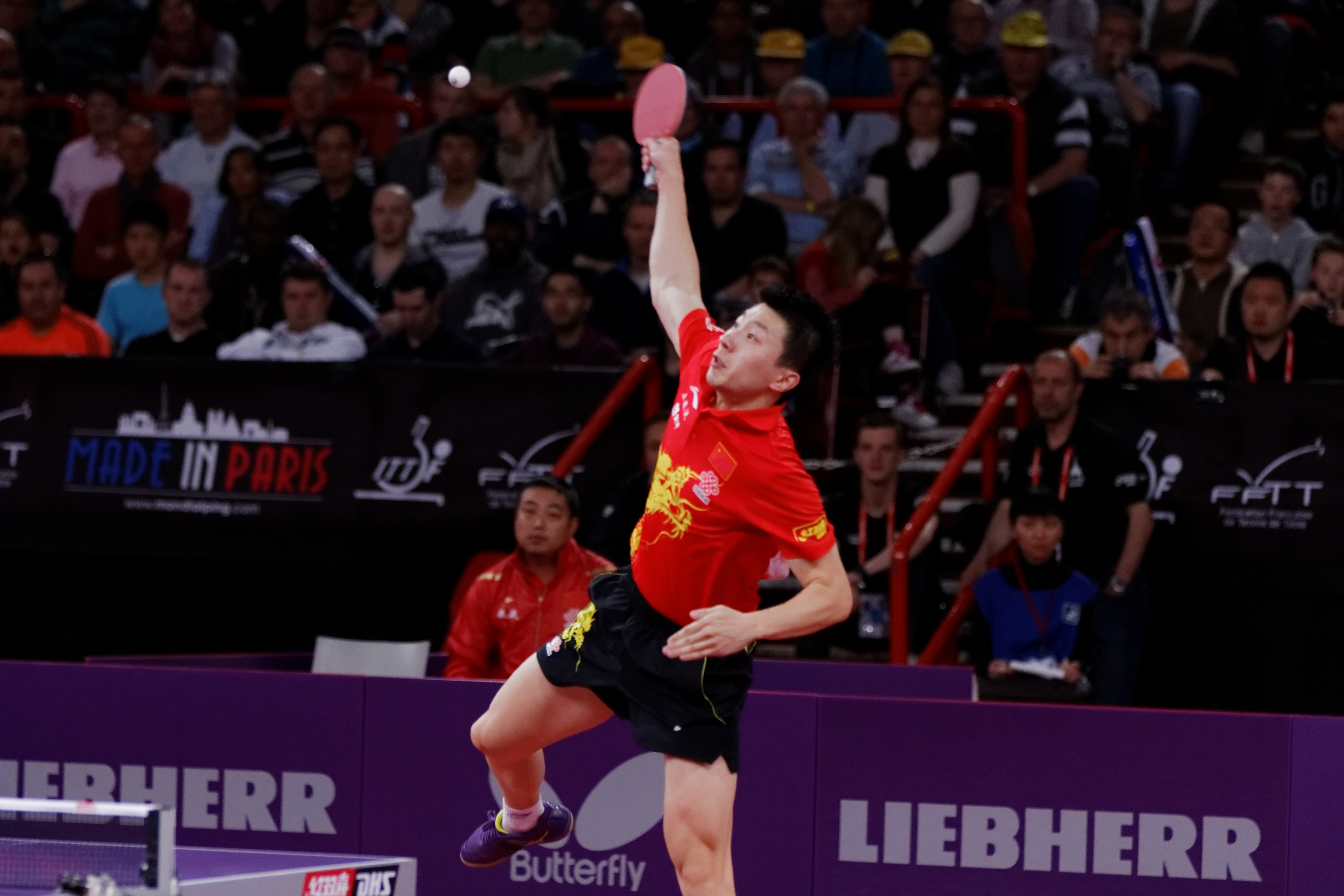 Ma Long - Wikipedia