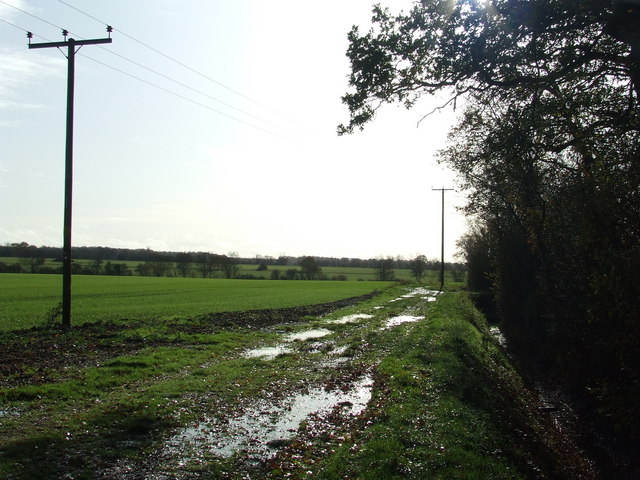 File:Muddy Footpath - geograph.org.uk - 1582590.jpg