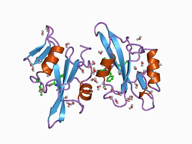 File:PDB 1a07 EBI.jpg