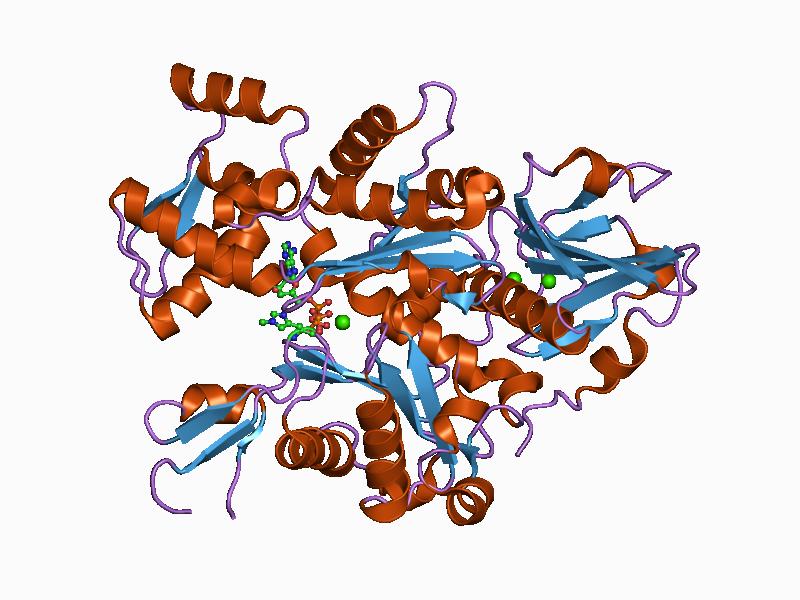 File:PDB 1c0f EBI.jpg