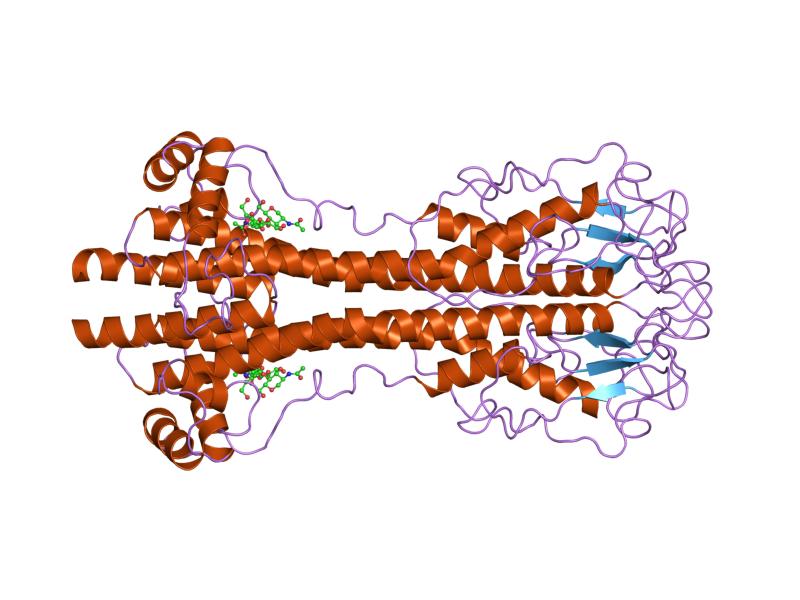 File:PDB 1vsg EBI.jpg