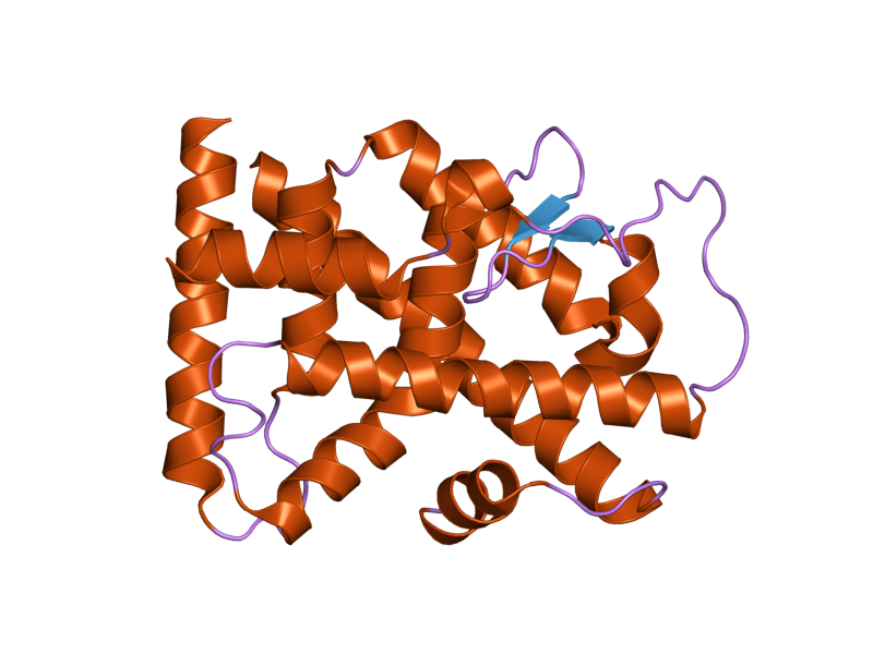 File:PDB 1yje EBI.png