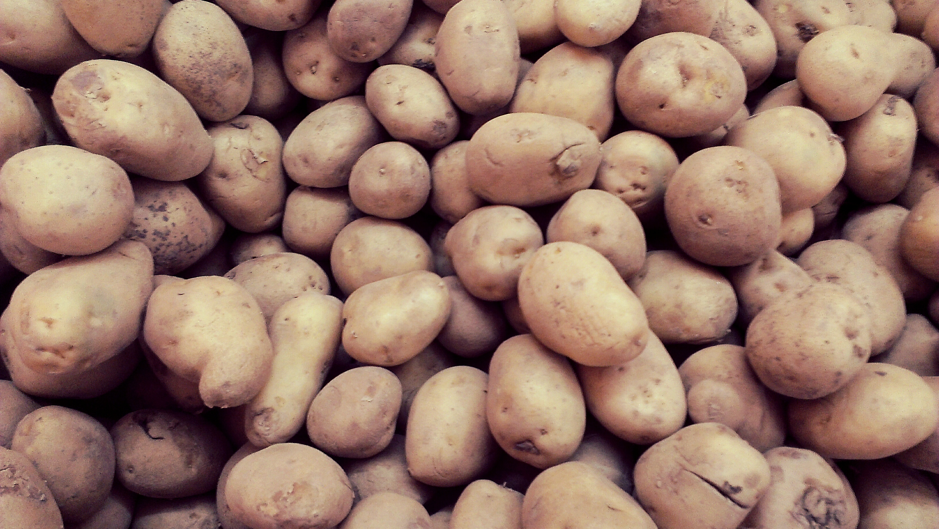 How do potatoes fit into the early diet?