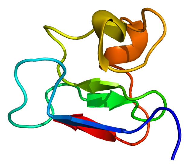 File:Protein PML PDB 1bor.png