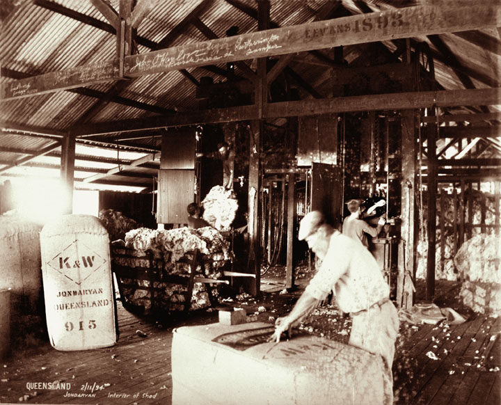 File:Queensland State Archives 4006 Interior of woolshed Jondaryan 2 November 1894.png