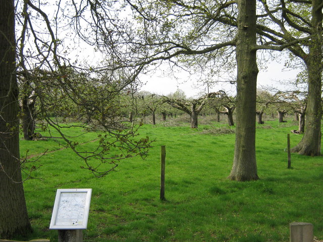 File:Silverlocks Orchard - geograph.org.uk - 1261885.jpg