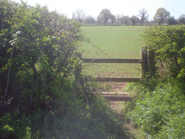 File:Stile north of The Broad - geograph.org.uk - 1289628.jpg