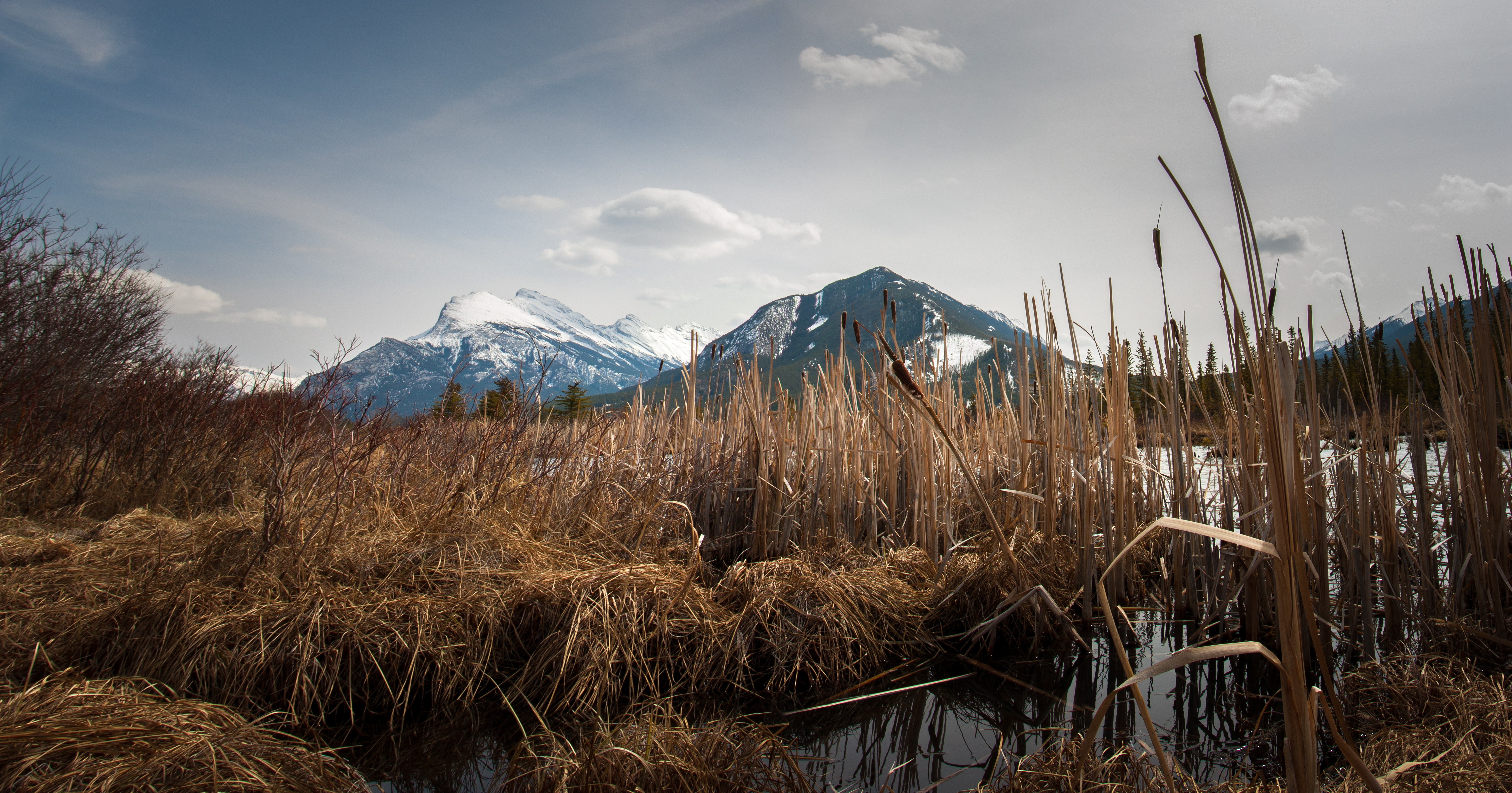 Vermillion Lake Dwayne Reilander-1.jpg