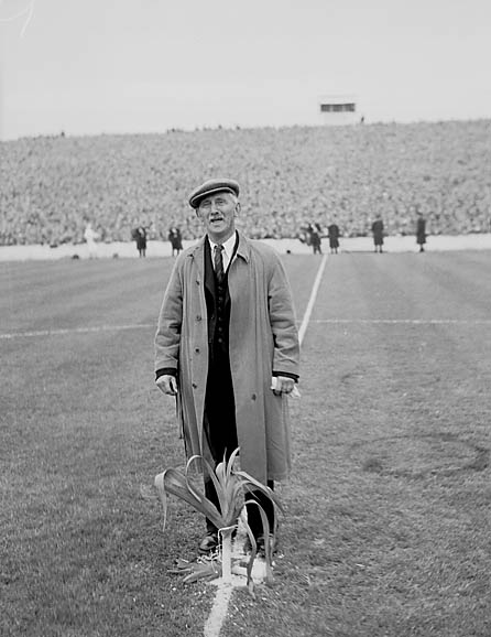 File:Wales beats England by 2 goals to 1 in the international soccer game in Cardiff (11870190016).jpg