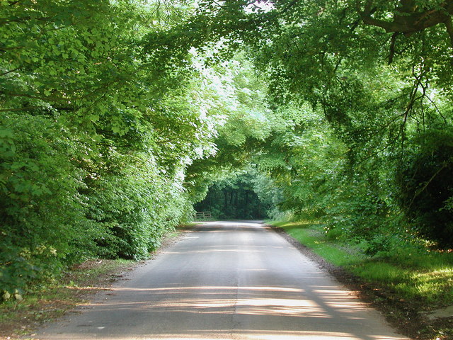 File:Welton Top - geograph.org.uk - 829542.jpg