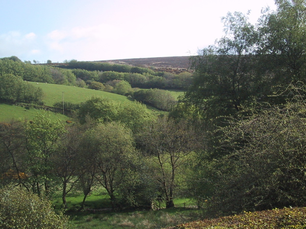 File:Withypool, pasture below Withypool Hill - geograph.org.uk - 875657.jpg