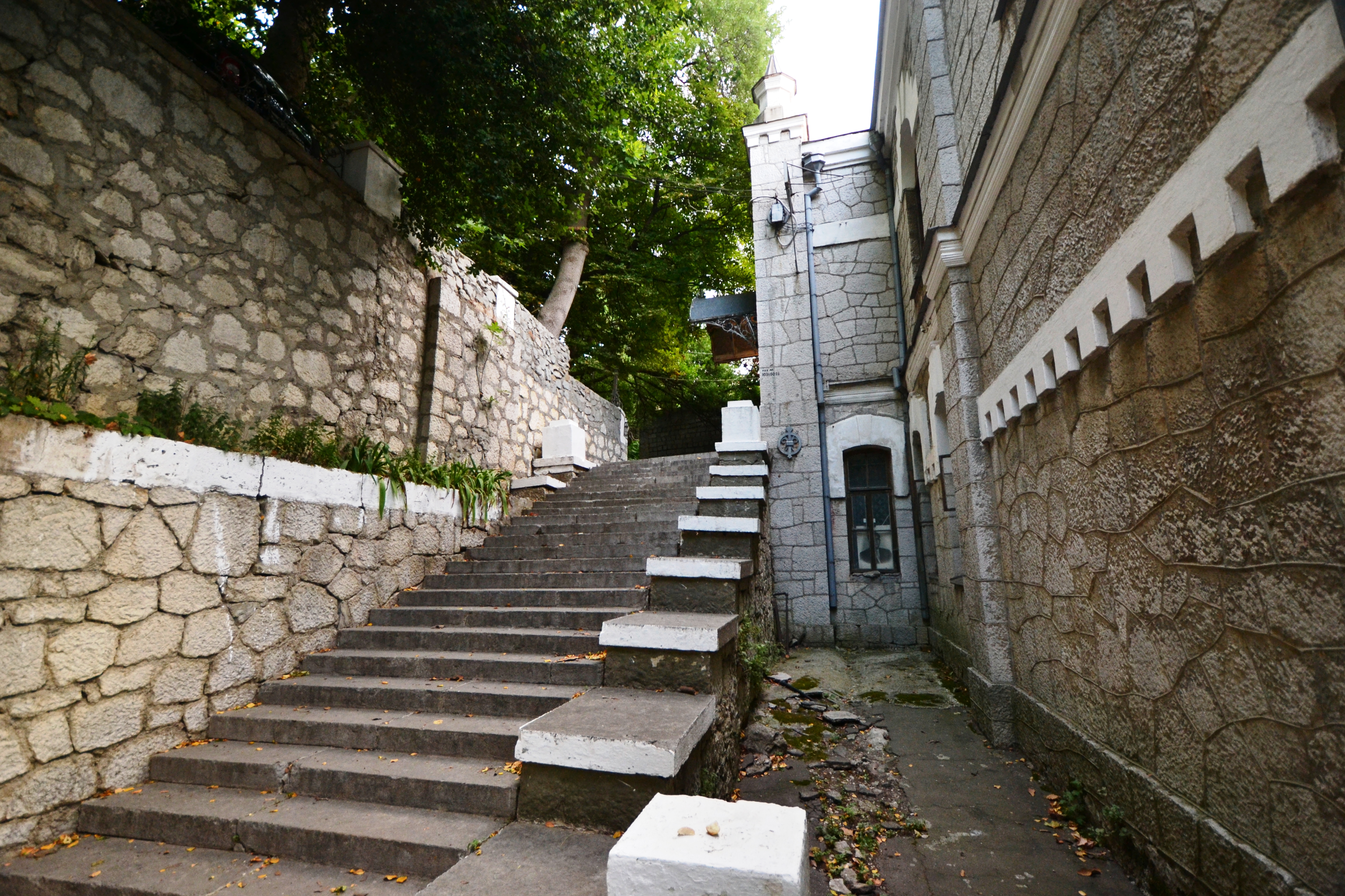 Ложатся на старые ступени. Старая лестница с чайкой Алупка. Подъем лестница у ворот в Дагестане. Подъем лестница у ворот в доме Дагестане.