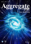 Aggregate: Volume 1, Issue 1