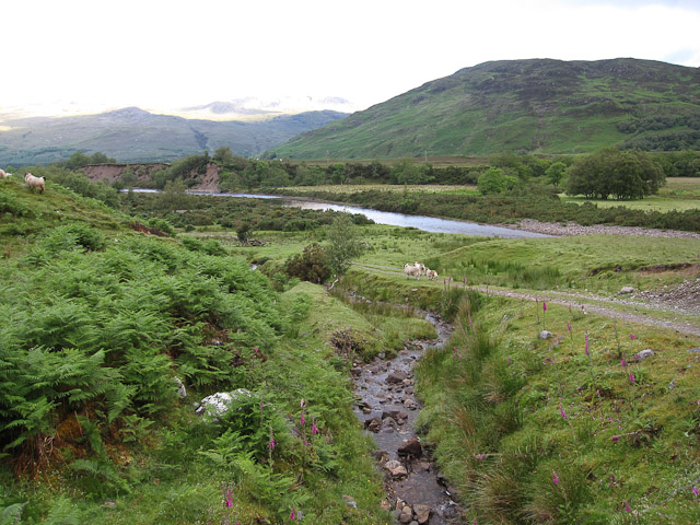 File:Allt na Caillich - geograph.org.uk - 1565760.jpg