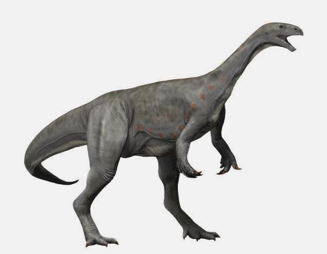 File:Asylosaurus NT.jpg