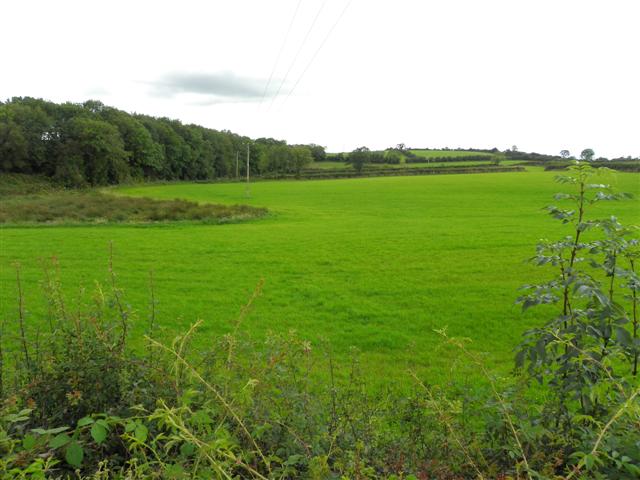 File:Ballymacarmery Townland - geograph.org.uk - 2581691.jpg