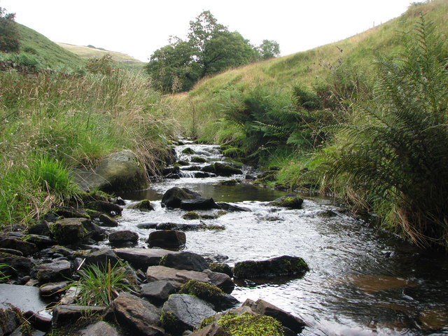 File:Brook at the bottom of Rake End - geograph.org.uk - 1475605.jpg