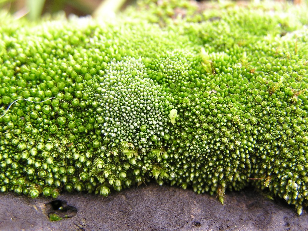 Se Você Está Buscando As Melhores Segredos Sobre O Assunto Insônia, Leia Este 1