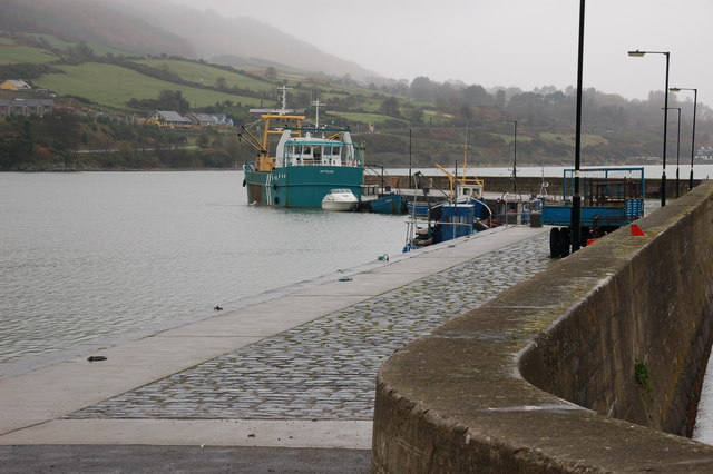 File:Carlingford harbour - geograph.org.uk - 282882.jpg