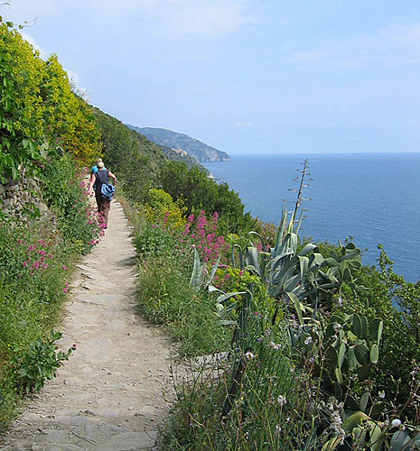 File:Cinqueterre hiking02.jpg