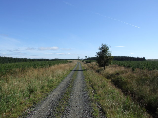 File:Coal Cleugh - geograph.org.uk - 543220.jpg