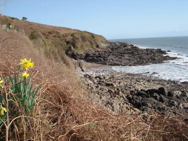 File:Coast near Langland Bay - geograph.org.uk - 461062.jpg