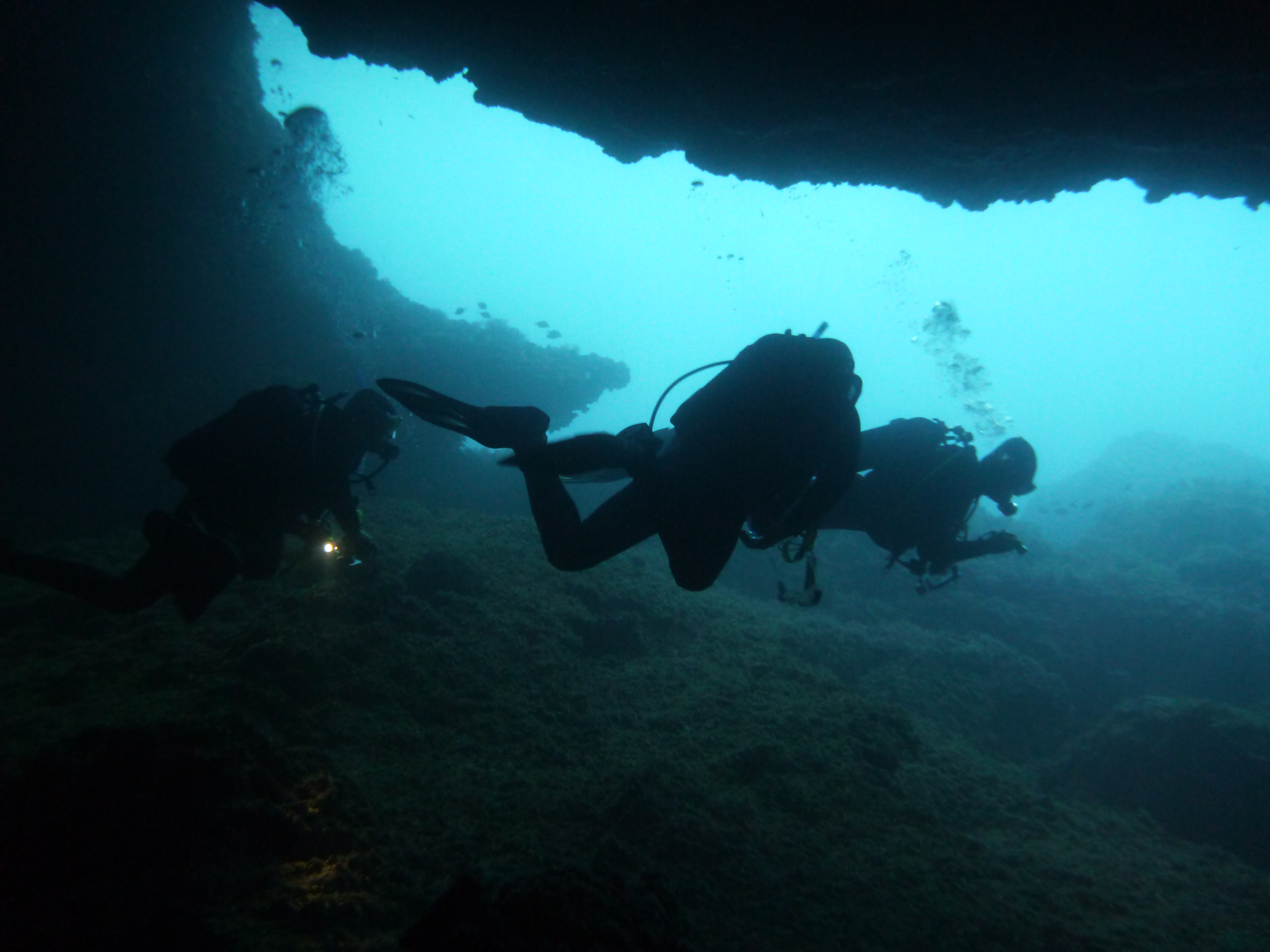 Discover diving experience in Costa Brava - Barcelona Home