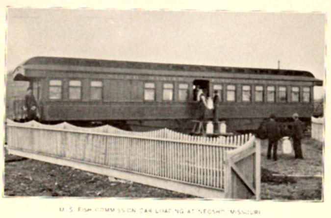 File:FMIB 33469 US Fish Commission Car Loading at Neosho, Missouri.jpeg