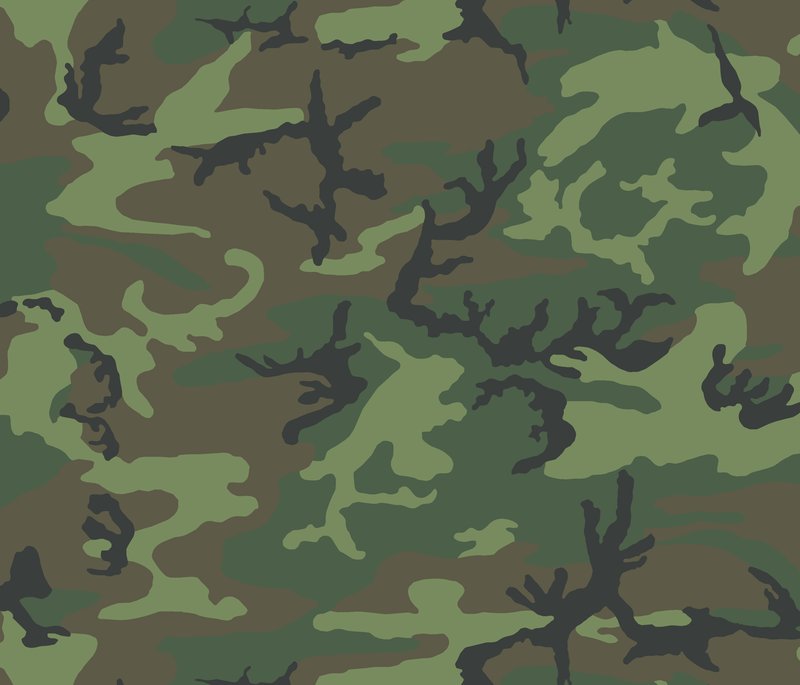 File:Green-dominant lowland ERDL camouflage pattern swatch.jpg