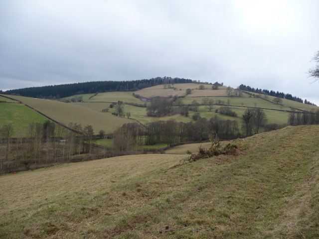File:Hillside track on Aston Hill - geograph.org.uk - 1712344.jpg