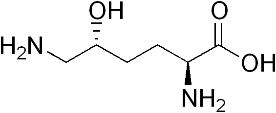 File:Hydroxylysine.png