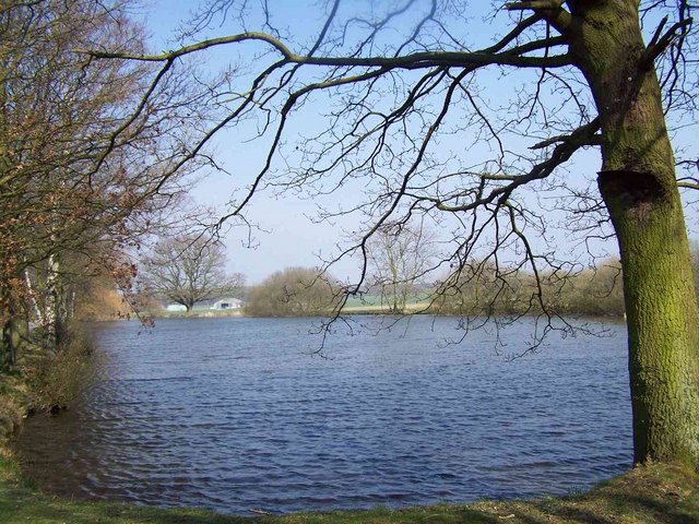 File:Lake, Teddesley Park - geograph.org.uk - 385521.jpg