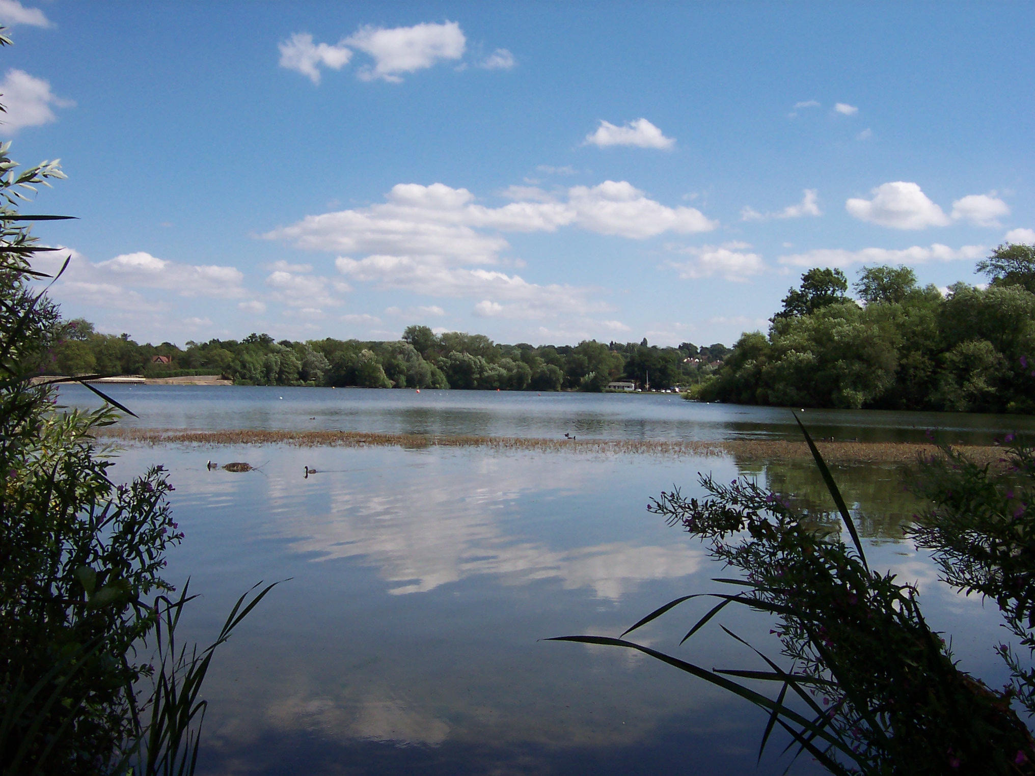 Aldenham Reservoir