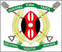 National Youth Service (Kenya) Organisation under the Government of Kenya