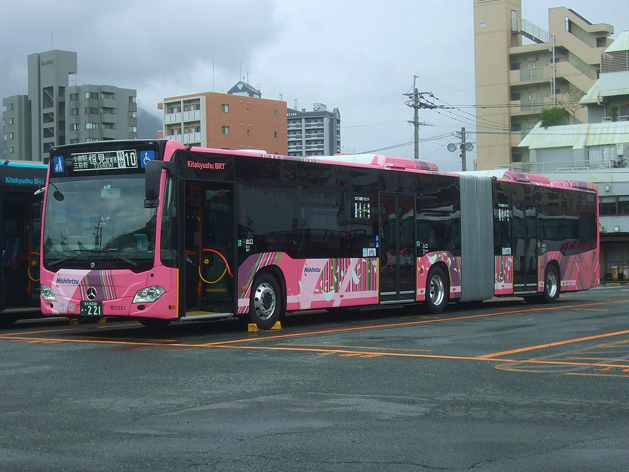 921 автобус от царицыно. Автобус 221. 221 Автобус Царицыно.