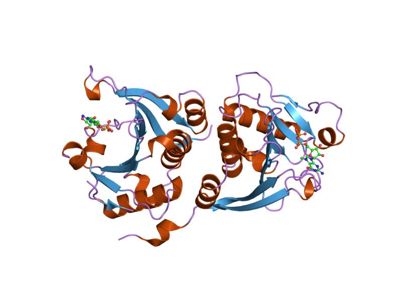 File:PDB 1ej1 EBI.jpg